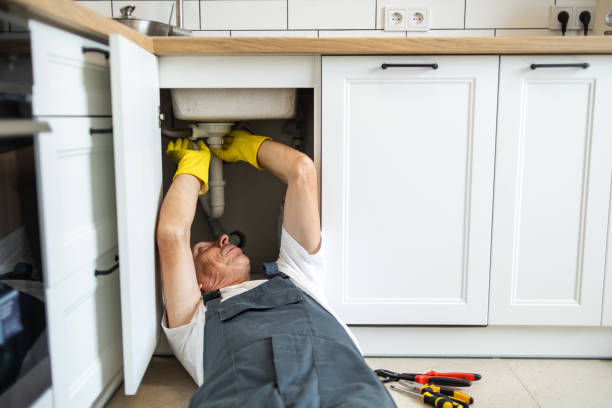 Best Commercial Plumbing Services  in Waterloo, WI